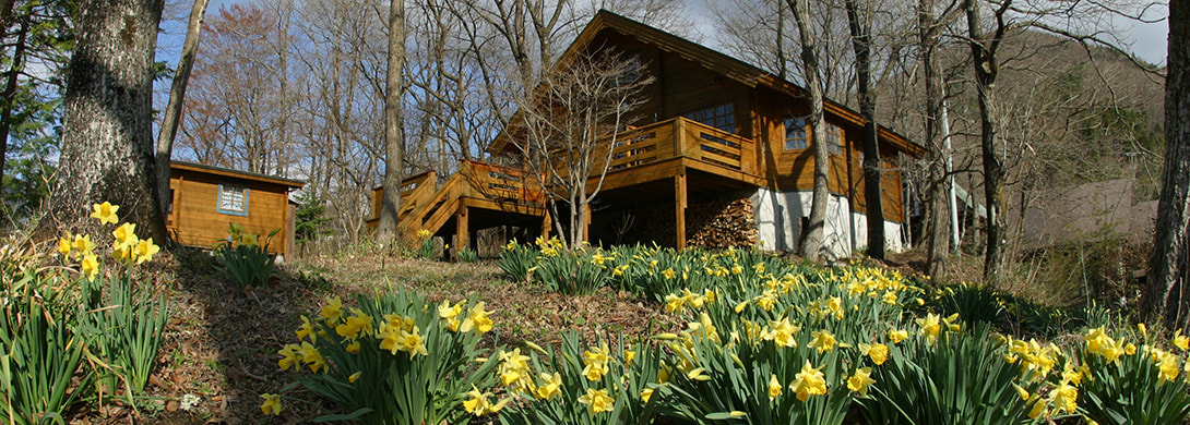t&m_spring01.jpg