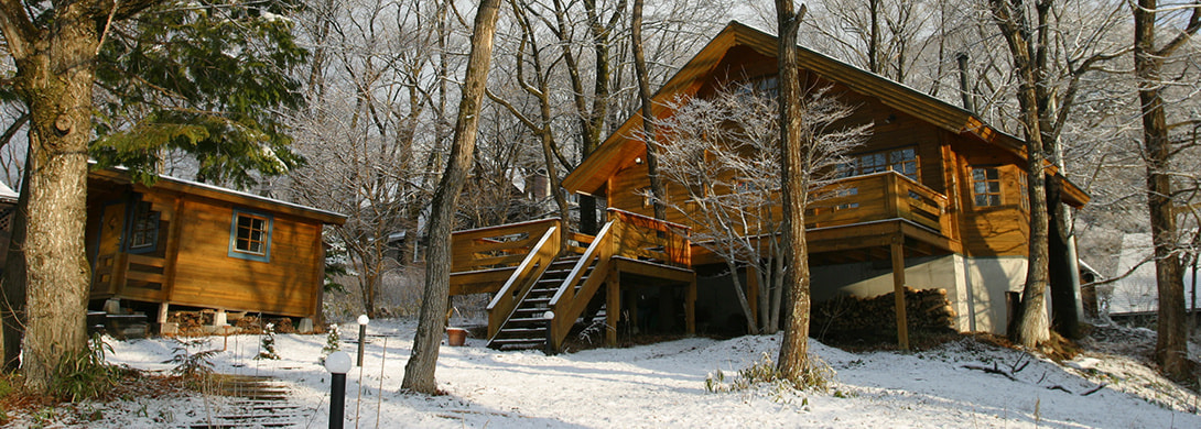 t&m_log_winter01.jpg